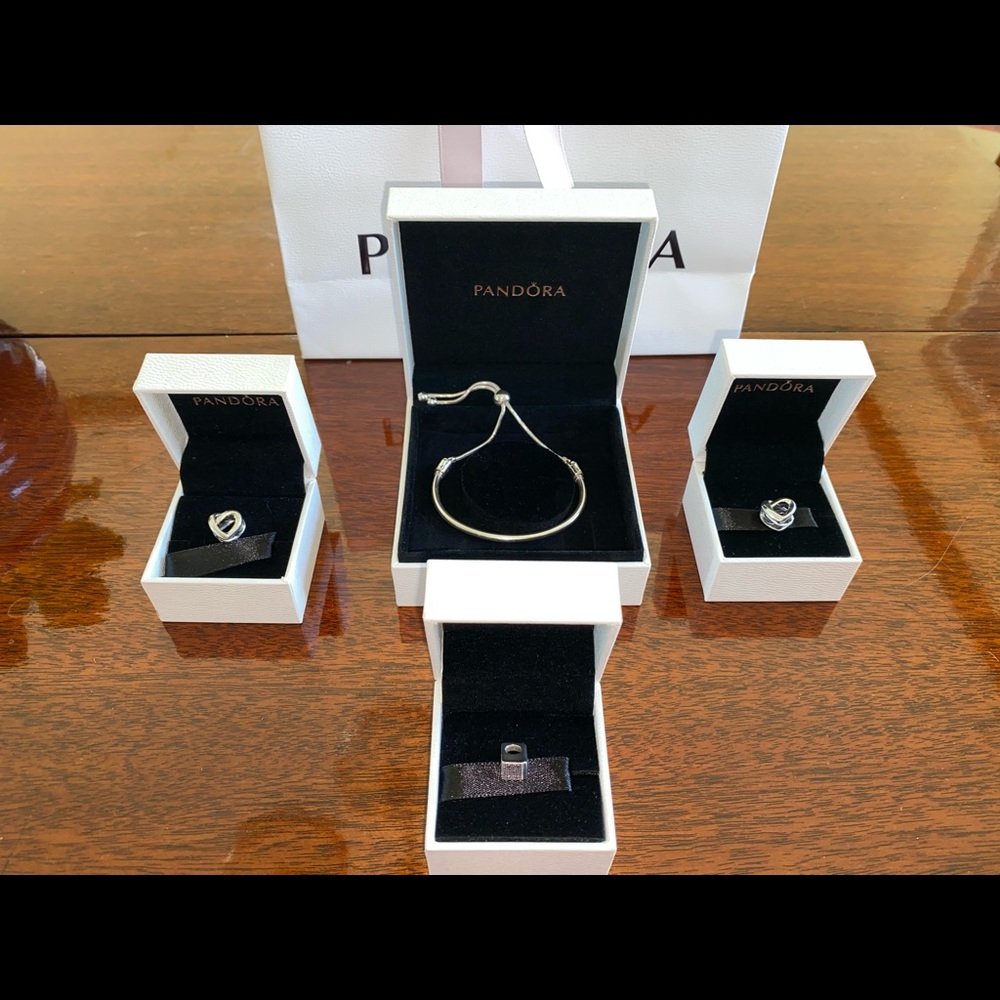 Pandora Moments Silver Bracelet